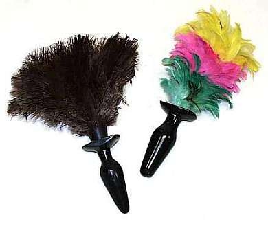 feather duster.jpg