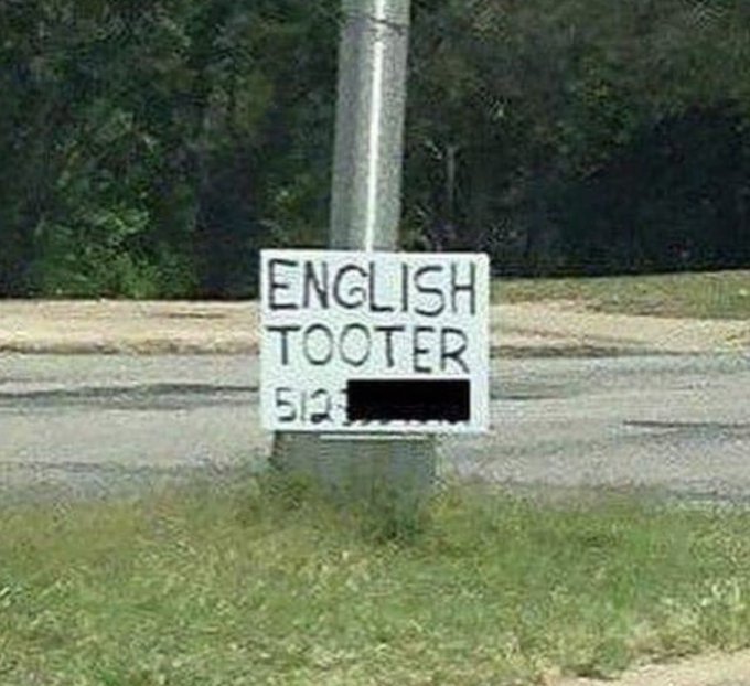 1685313336517.jpeg