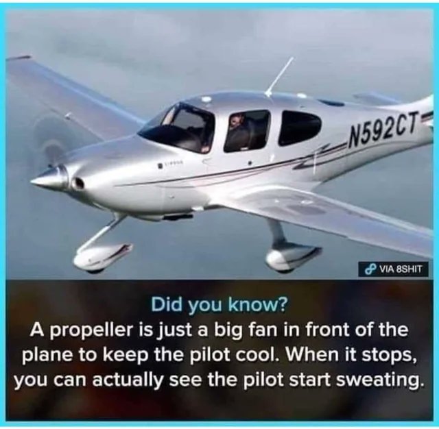 1689522507584.jpeg