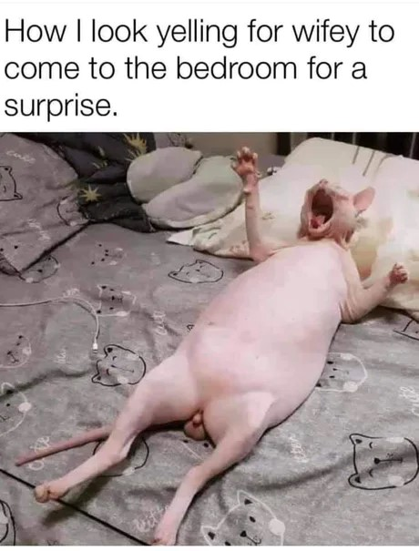 1700566288481.png