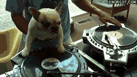 1720538032266.gif