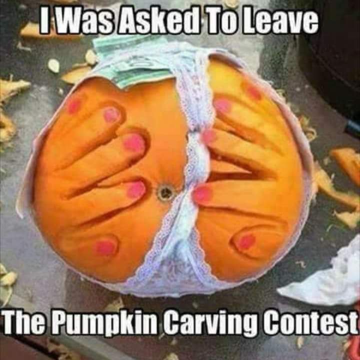FB_IMG_1729246672417.jpg