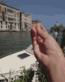 1732692890376.gif