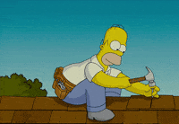 IMG_4976.gif