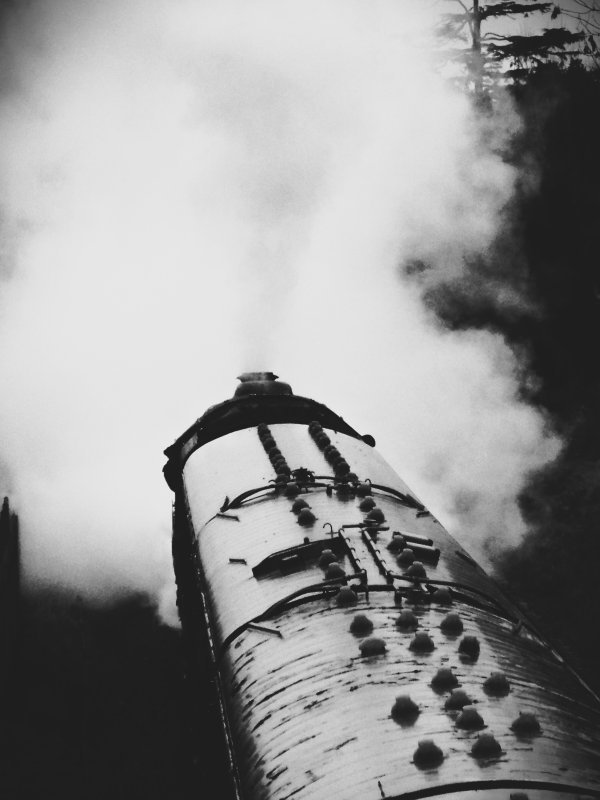100_9756B.jpg