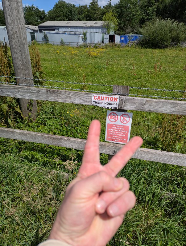 1000017083.jpg