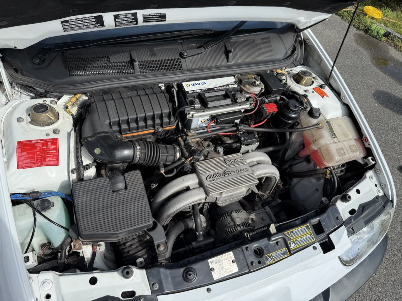 IMG_1824.jpeg IMG_1824.jpeg