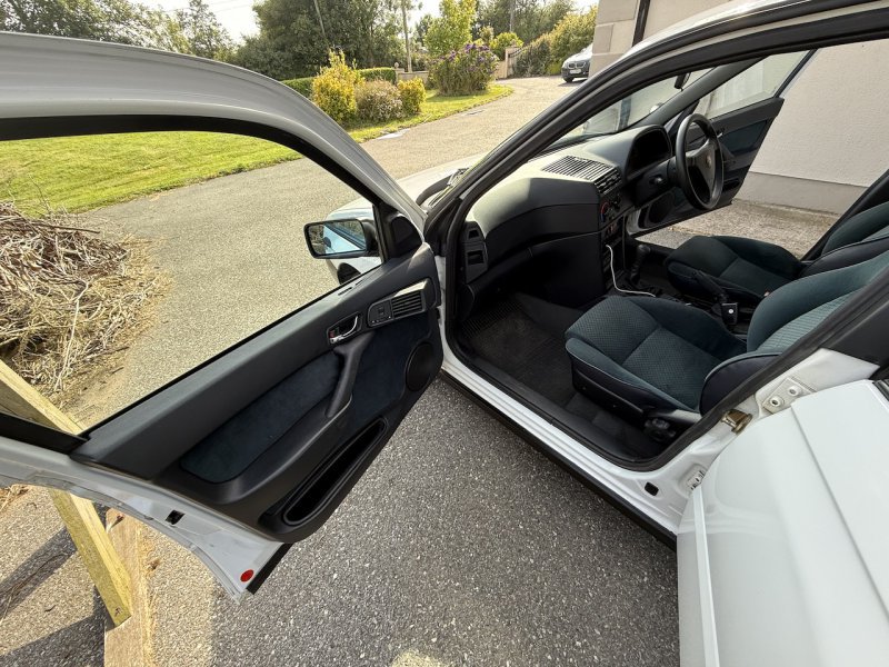 IMG_1831.jpeg IMG_1831.jpeg