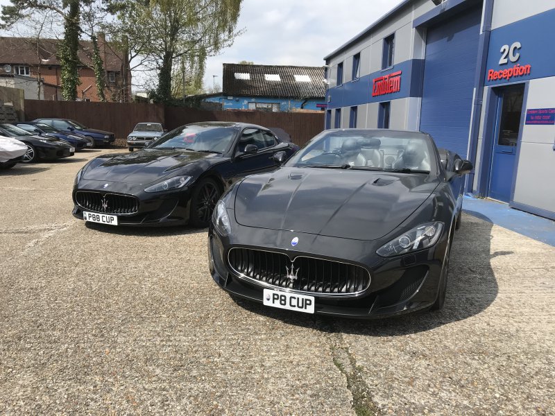 IMG_7005.jpeg IMG_7005.jpeg