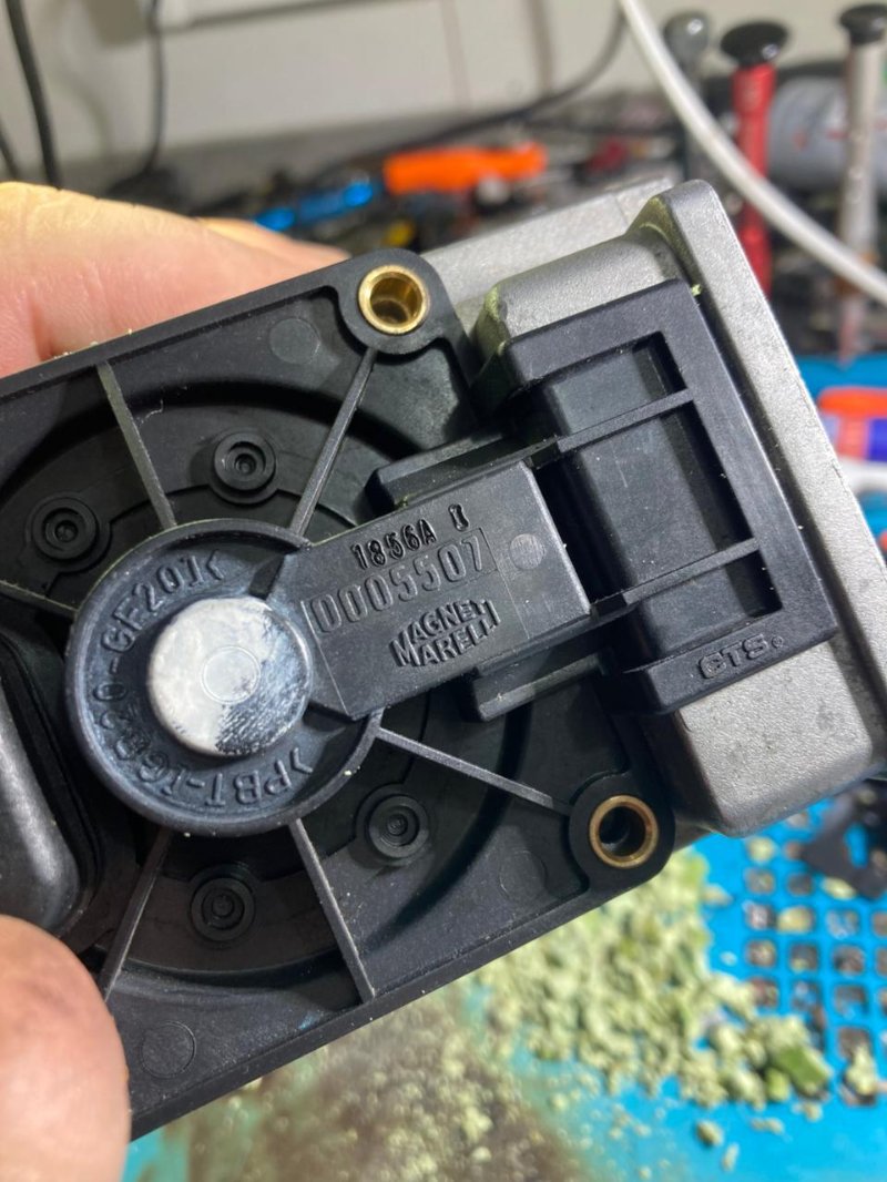 WhatsApp Image 2026-03-03 at 1.09.49 PM.jpeg