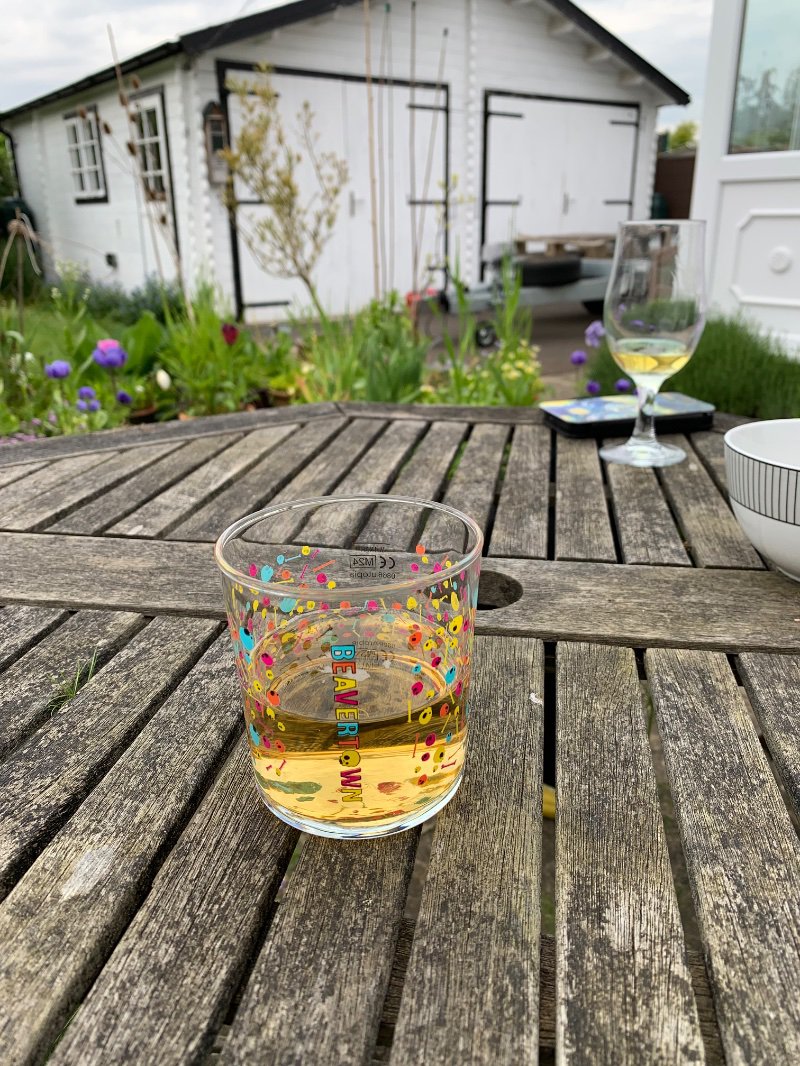 IMG_3979.jpeg