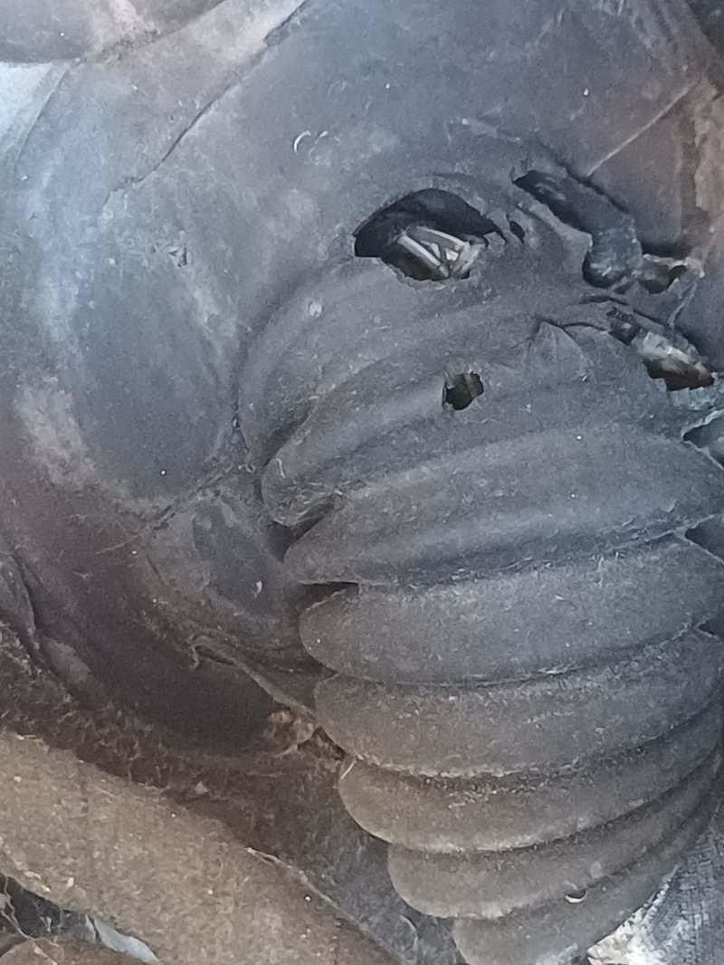 20260529_145757.jpg