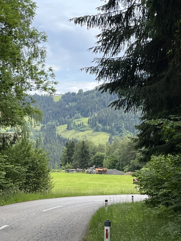 Himmelburg runout road.JPG
