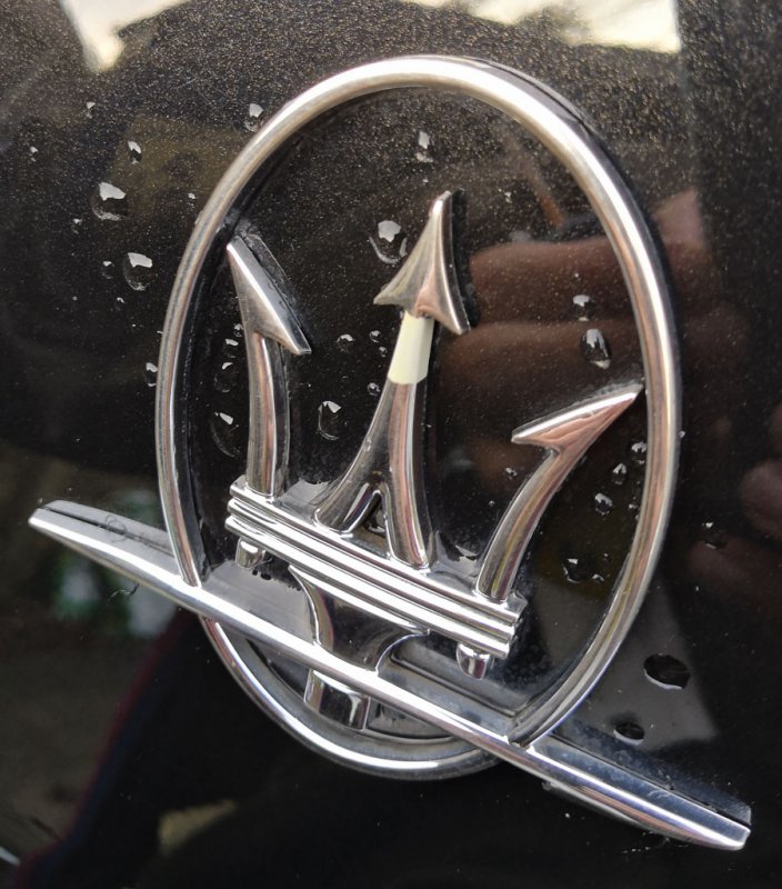 Maserati Emblem.jpg