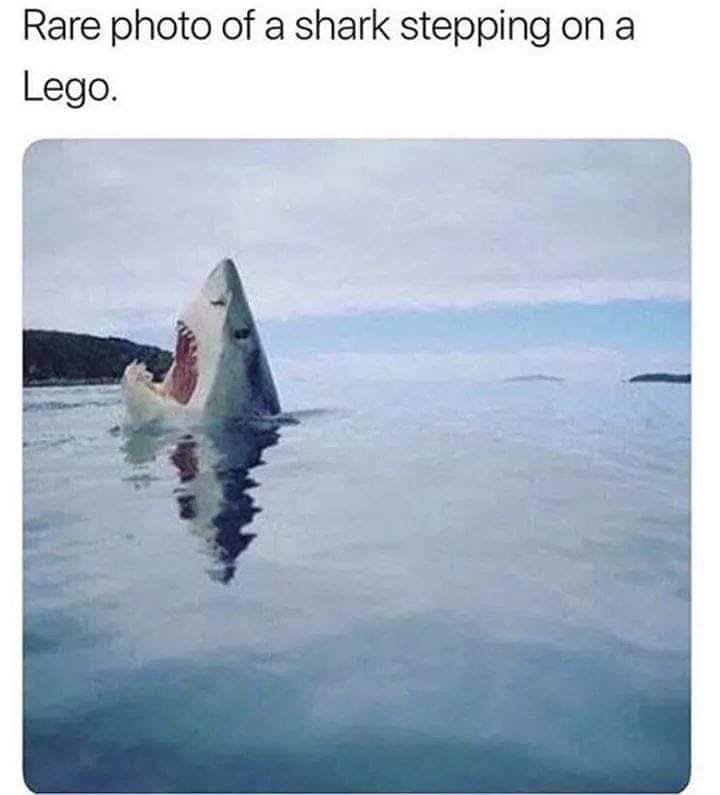 59072