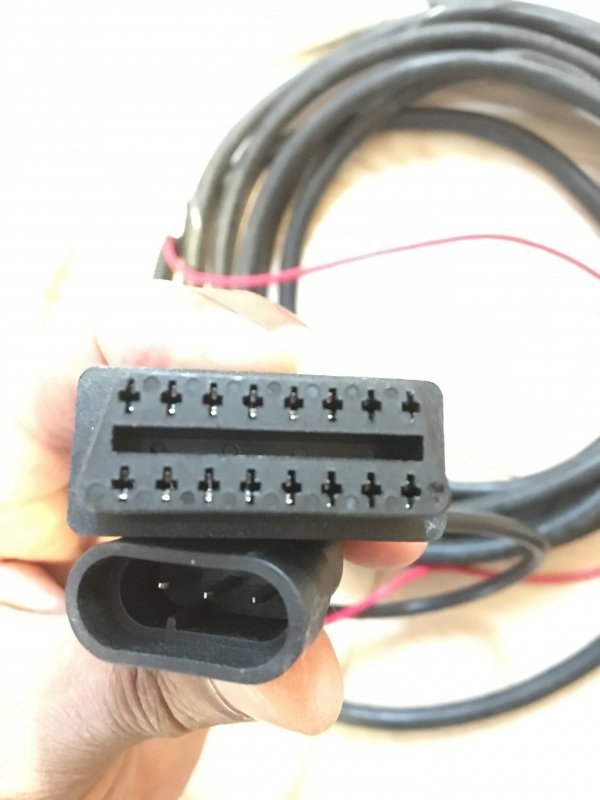 20190925_124653479_iOS.jpg