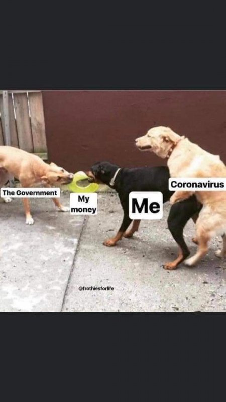 67485