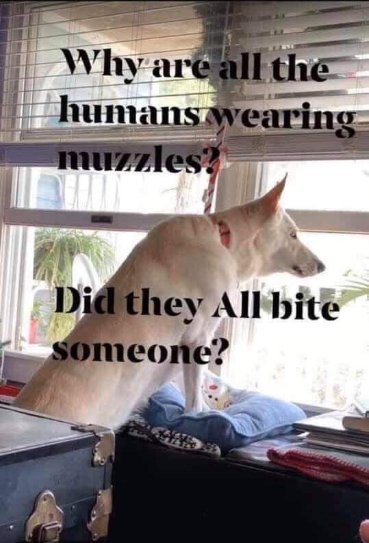 68986