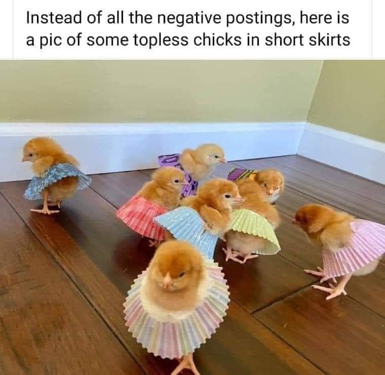 69363