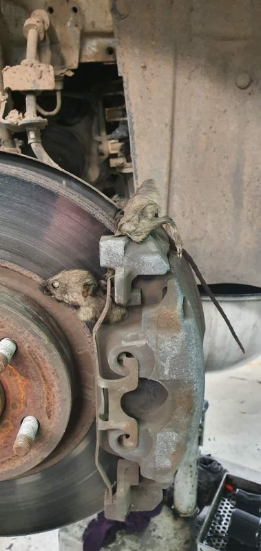 71380