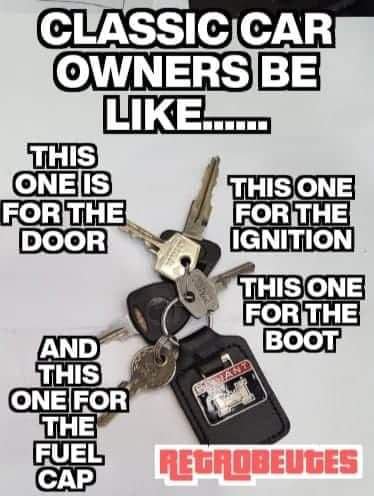 73629