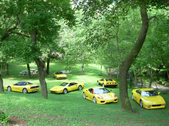 Bachmans-collection-of-yellow-Ferraris-photo-Phil-Bachman.jpg