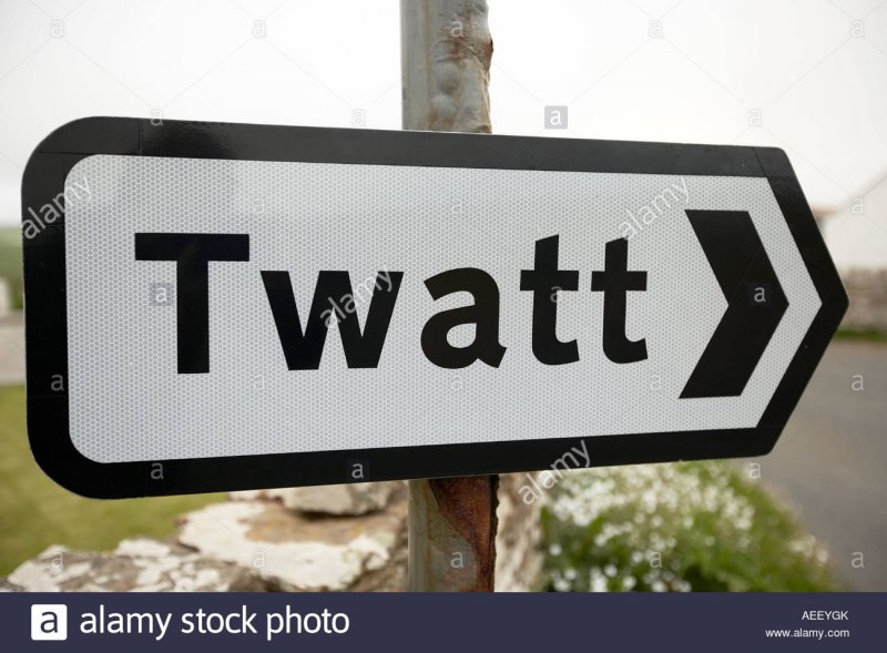 78407