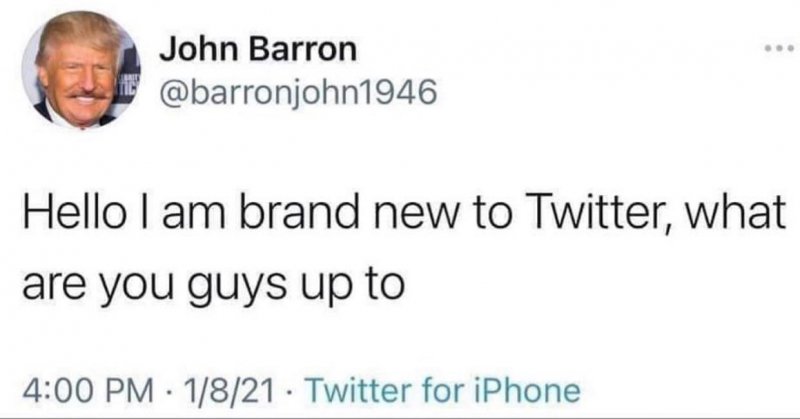 80293