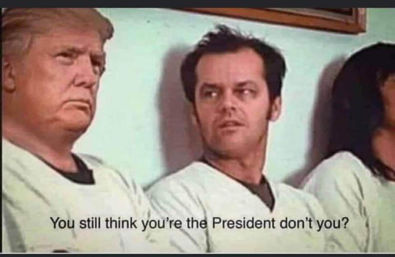 80317