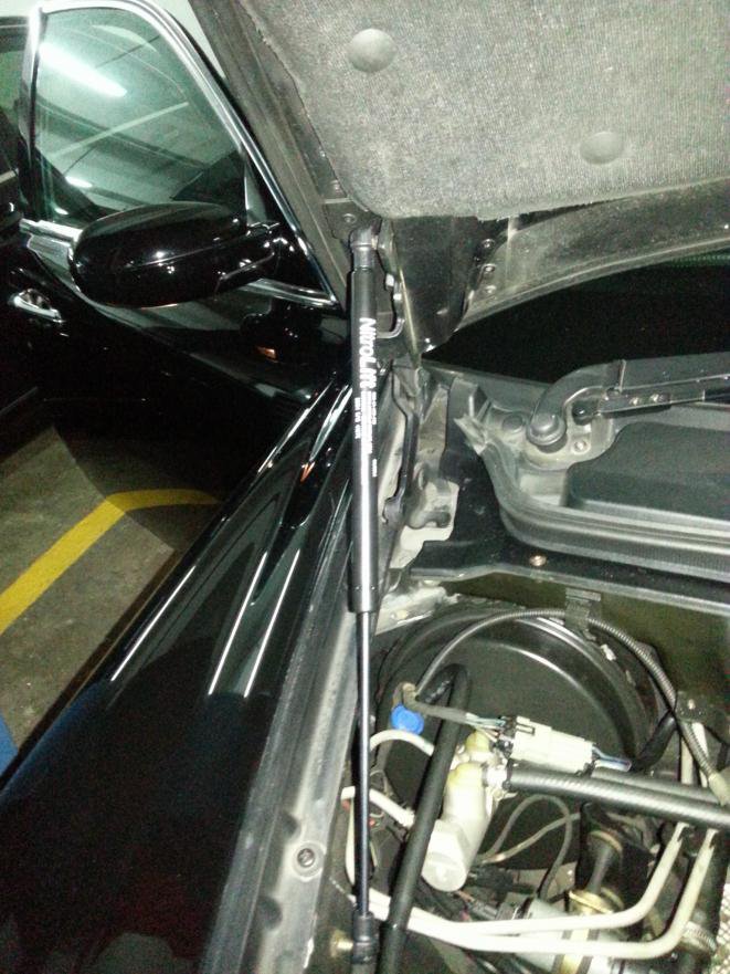 Bonnet Gas Spring 2.jpg