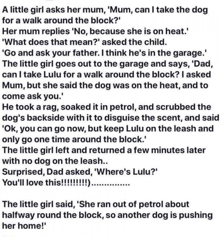 FB_IMG_1636353613366.jpg