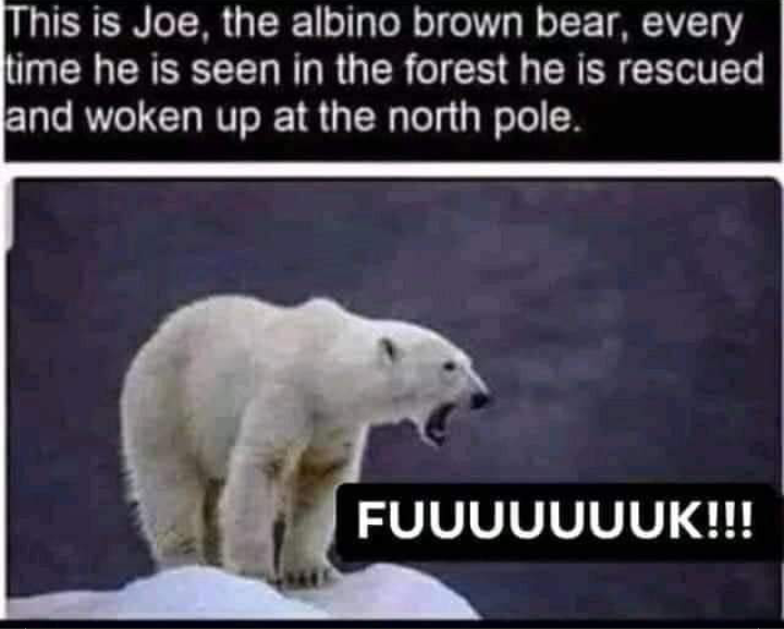 93485