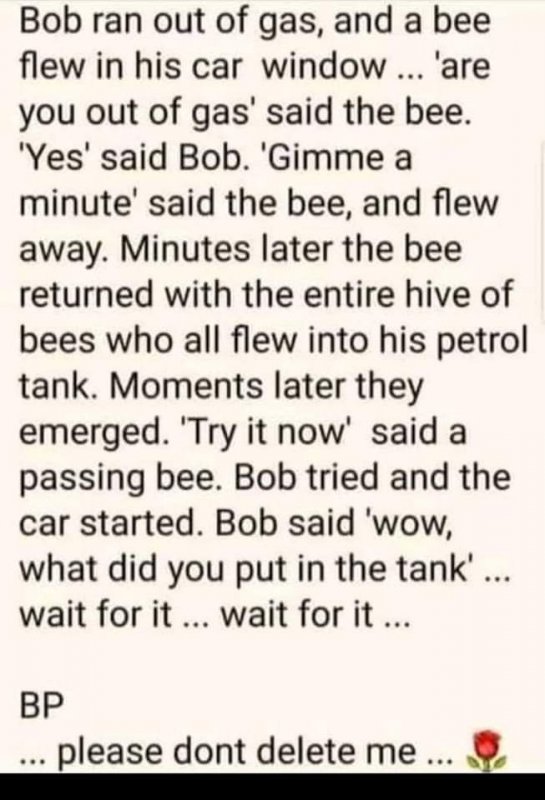 103826